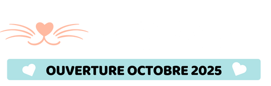 Moustache toilettage