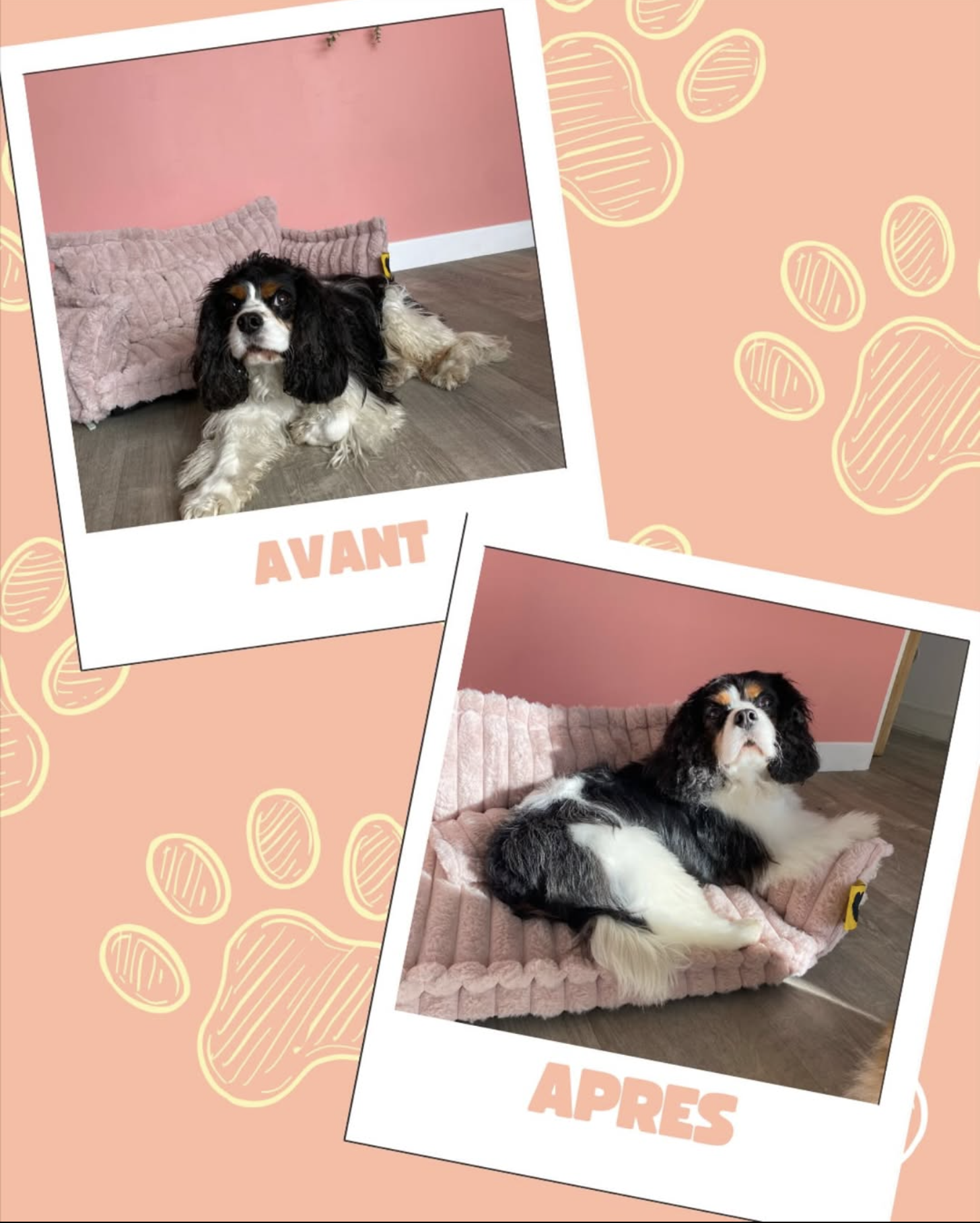 Capture d’écran 2025-10-27 à 21.00.39 Capture d’écran 2025-10-27 à 21.00.39