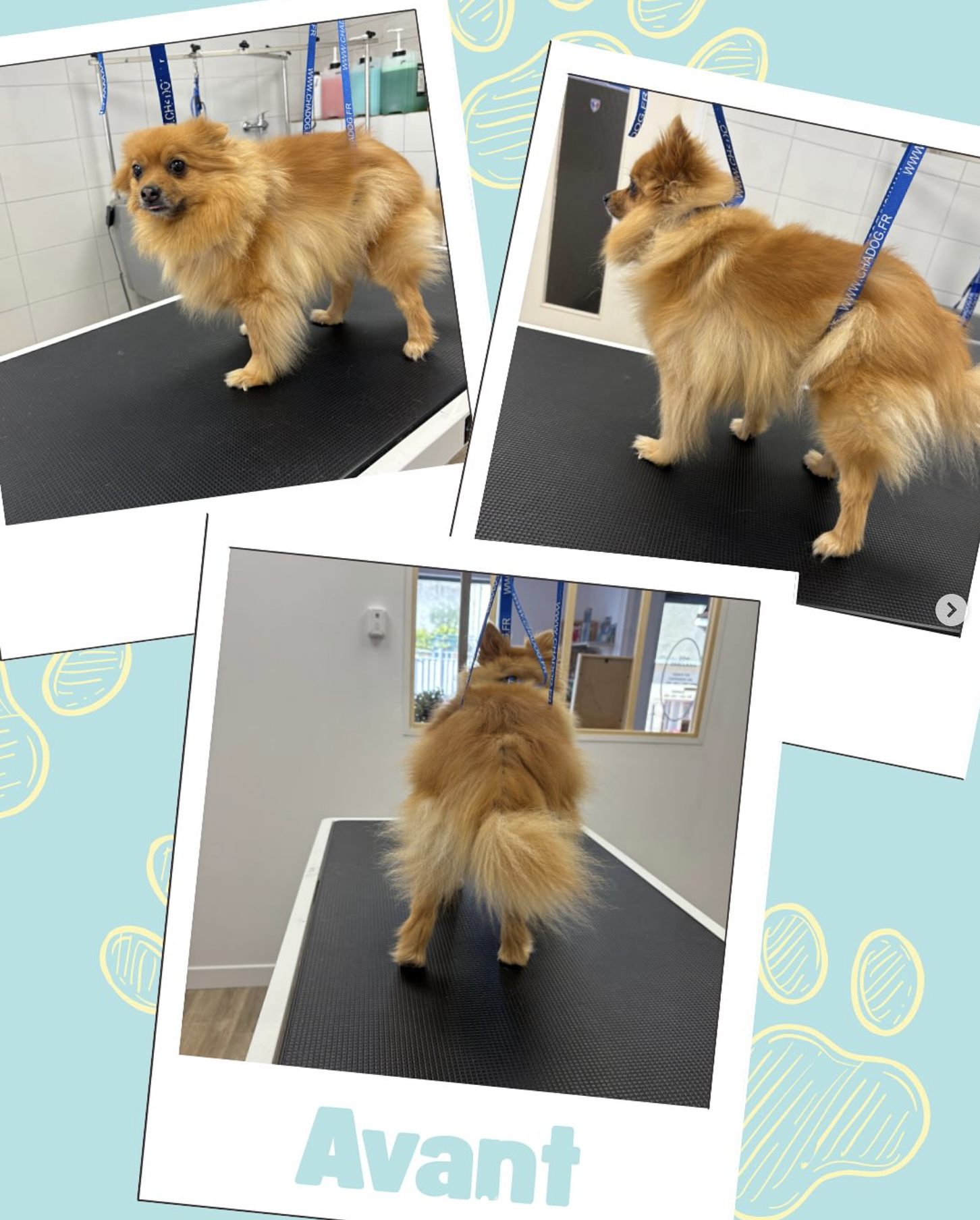 Capture d’écran 2025-10-27 à 22.01.46 Capture d’écran 2025-10-27 à 22.01.46