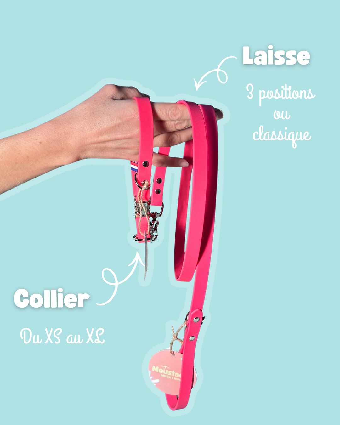 On ne s’occupe pas que du look de votre toutou au salon 💅, on pense aussi à ses balades ! 🌳Déc (2)