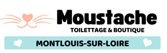 Moustache toilettage