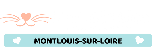 Moustache toilettage